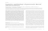 Genetics and biology of pancreatic ductal adenocarcinoma · REVIEW Genetics and biology of pancreatic ductal adenocarcinoma Haoqiang Ying,1 Prasenjit Dey,2 Wantong Yao,3 Alec C. Kimmelman,4