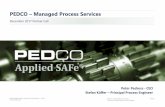 PEDCO Managed Process Services · 4. Scrum & Kanban on Team Level. 5. Agile Milestones and metrics • We plan to perform about 20 Webinars on specific scaled agile topics. • Each