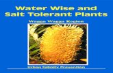 Water Wise and Salt Tolerant Plants€¦ · ♣ Do not mow again until the lawn has grown fully back. ♣ Mow regularly so that only 1.5 to 2 cm is cut off each time. Leave the clippings.