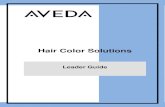 Hair Color Solutions Spectrum Hair Color Professional Reference Guide prior to the training. Make copies