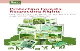 Protecting Forests, Respecting Rights · 2020-02-21 · stores comes from tropical areas whose forests were cleared illegally for crops and pastures. Each year Europeans consume millions