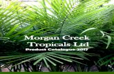 Morgan Creek Tropicals Ltdmctropicals.com/wp-content/uploads/2013/11/MCT-Product...2 About Morgan Creek Tropicals Ltd Morgan Creek Tropicals is a modern, wholesale supplier of indoor