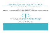 TransForming Justice - Summary Report One · Access to Justice Framework . A comprehensive literature review and consultation process took place to create the access-to-justice framework
