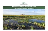 Manitoba Prairie Wetland Classification Guide · 2020-05-26 · Wetland may or may not become dry by late August or September in normal moisture years. Dominated by a deep marsh zone