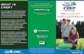 WHAT IS For more information about CREP? the FSA office ...The Conservation Reserve Enhancement Program (CREP) is a partnership among farmers, state and federal governments, and private