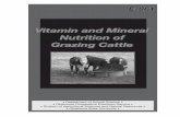 Vitamin and Mineral Nutrition of Grazing Cattle › range456 › readings... · Proper mineral and vitamin nutrition contributes to strong immune systems, reproductive performance,