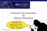 Evidence for Evolution by Natural Selectionthatsciencelife.weebly.com › ... › evidence_of_evolution_powerpoint.pdf · Evidence supporting evolution Fossil record shows change