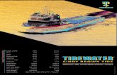 CINDY BROWN TIDE - tdw.com · QUALITY 266’ PLATFORM SUPPLY . VESSEL. CINDY BROWN TIDE. Length, Overall: 266 ft
