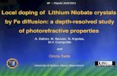 Local doping of Lithium Niobate crystals by Fe diffusion ...static.sif.it › SIF › resources › public › files › congr11 › mc › sada.pdf · Lithium niobate Compound system