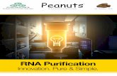 Peanuts - Zymo Research · 2018-11-12 · Sample 1 Sample 2 Control 29 25 21 [nt] 150 100 80 60 40 20 4 [nt] Efficient small RNA recovery High-Throughput & Automated Purification
