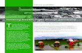 China and IRRIbooks.irri.org/China_IRRI_brochure.pdf · Through this partnership, China became the first country to successfully produce hybrid rice for temperate-climate agriculture.