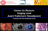 Cancer du Rectum: Staging Local Avant Traitement Neoadjuvant · Cancer du Rectum: Staging Local Avant Traitement Neoadjuvant S Nougaret, MD, PhD, Montpellier, France ... MRI 1 CX