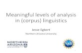 Meaningful levels of analysis in (corpus) linguisticssites.nationalacademies.org/cs/groups/dbassesite/...Analyzing multiple levels of analysis •Multi-Dimensional analysis (Biber,