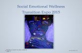Social Emotional Wellness Transition Expo 2015adamhscc.org/pdf_adamhscc/en-US/Youth Expo Social...• A proactive approach to living an optimal lifestyle • An active process whereby