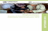 Survey of Commercial Cannabis 2013 R be M te P e S...Afghanistan Survey of Commercial Cannabis Cultivation and Production 2012 Vienna International Centre, PO Box 500, 1400 Vienna,