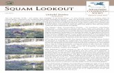 Squam Lookout … · complex interactions between organisms and their environment are playing out across the Squam watershed. Beavers are building dams and creating wetlands, eagles
