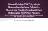 Hedgehog and Wnt Pathway Activation Mesenchymal Transition ...i502/Taghreed.pdf · References 1. Steven Nathaniel Steinway, Jorge G.T. Za nudo, Wei Ding, Carl Bart Rountree, David