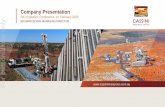 RIU Explorers Conference, 19 February 2020 …...2020/02/19  · Mr Miles has sufficient relevant experience to the style of mineralisation and type of deposit under consideration