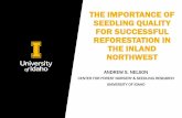 THE IMPORTANCE OF SEEDLING QUALITY FOR SUCCESSFUL ... · performance of nursery-grown seedlings in the field Fundamental aspect of the Target Seedling Concept Landis, Dumroese, and