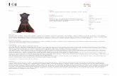 File - Gianfranco Ferré...The skirt with train starts from a long black taffeta basque and multilayer nylon tulle petticoat, stitched together with two parallel seams. Along the bottom