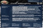 Experience - cwilloughby-resume.comcwilloughby-resume.com/portfolio/cwilloughby_2018.pdf · 1200 Forest trail Cedar Park, TX 78613 T: 512-694-3795 E: cwilloughby132@gmail.com W: chrisw-resume.newhorizonlight.com