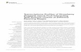 Transcriptome Profiles of Strawberry (Fragaria vesca ...€¦ · Romanazzi, 2016). In strawberry (F. × ananassa), early infection of B. cinerea may occur in flowers but remains suppressed
