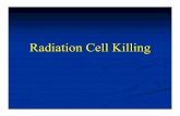 Radiation Cell Killing Cell... · 2017-10-02 · Radiation Cell Killing In vivo, predominant form of cell death following irradiation occurs at mitosis, requires a dose of ~ 2 Gy