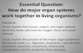 Ms. Goodson's Life Science Blog - Blog - Essential …...Excretory System The role of the Excretory System is to remove wastes from the body. Organs that Excrete Waste Organ What it