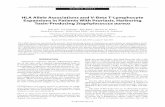 HLAAlleleAssociationsandV-BetaT-Lymphocyte ...downloads.hindawi.com/journals/bmri/2005/945072.pdf · 312 Rola Ajib et al 2005:4 (2005) Table 1. Toxin production by Staphylococcus