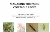 MANAGING THRIPS ON VEGETABLE CROPS › ... › documents › vegetable-production › Managing-thrips.pdfMANAGING THRIPS ON VEGETABLE CROPS Dakshina R. Seal (DAK) University of Florida-IFAS,