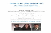 Deep Brain Stimulation For Parkinson’s Disease › Documents › parkinsons › dbs.pdf · 2012-03-22 · DBS system implanted on both sides of the brain, Courtesy of Medtronic,