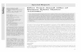 adiology Fiber Tract–based Atlas of Human White Mattercmrm.med.jhmi.edu/cmrm/papers/Wakana_radiology.pdf · 2019-11-10 · Brain, anatomy, 10.92 Brain, MR, 10.121412, 10.121416,
