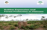 Rubber Expansion and Forest Protection in Vietnam...Rubber Expansion and Forest Protection in Vietnam IV Table 1.Some fundamental orientations for future rubber plantation development