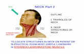 OUTLINE I. TRIANGLES OF NECK II. DEEP Lecture Powerpoint 2019.pdf · Triangles of Neck – for description neck is divided into Anterior and Posterior Triangles by Sternocleido-mastoid