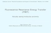 Fluorescence Resonance Energy Transfer (FRET) • P.R. Selvin (2000) The renaissance of fluorescence resonance energy transfer. Nat Struct Biol.7:730-4. • P.R. Selvin (1995) Fluorescence