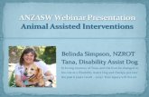 Belinda Simpson, NZROT Tana, Disability Assist Dog · Friends Pet Therapy and Perfect Partners Assistance Dogs Trust for therapy pets; or one of the certifying organisations previously