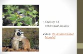 Chapter 51 Behavioral Biology Video: Do Animals Have Morals?sintichscience.weebly.com/uploads/2/2/4/7/22479874/ch51_behavior.pdf•Sensitive phase for optimal imprinting •Some behavior