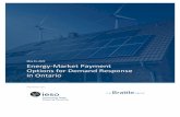 Energy-Market Payment Options for Demand Response in Ontario · 2020-05-22 · PRELIMINARY AND CONFIDENTIAL DRAFT, NOT FOR CITATION OR DISTRIBUTION ENERGY -MARKET PAYMENT OPTIONS