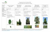 Programme de don d’arbres 2020 Fiche descriptive des essences d’arbres › saintbruno-site › wp... · 2020-05-08 · Programme de don d’arbres 2020 Fiche descriptive des essences