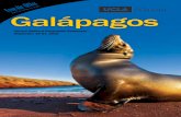 Galápagos - Alumni Travel | Alumni Travel › wp-content › uploads › 2015-09-galapa… · 8 Blue-footed booby. Isabela Floreana Española EQUATOR Pacific Ocean Santa Cruz Baltra