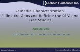 Remedial Characterization: Filling the Gaps and Refining ...ky.aipg.org/PDF/Session3.pdfCase Studies April 26, 2013 ... Discovered 3 to 4-inches of free product in one well (modified