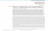 Neural substrates of anticipatory motor adaptation for ... · 2 Vol:.(1234567890) Scientific RepoRtS | (2020) 10:10430 |   momenttheCoMisreversed.Attheswitch ...