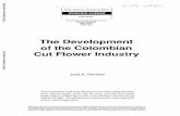 The Development of the Colombian Cut Flower …...Colombian economy. Cut flowers are now the nation's leading nontraditional export and fourth In the United States, consumers have