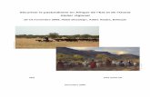 Sécuriser le pastoralisme - Rapport final de l'atelierhubrural.org/IMG/pdf/...Rapportfinaldelatelier.pdf · ressources en eau stratégiques (ou le contrôle de ces terres et ressources)