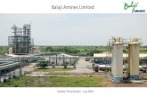 Balaji Amines Limited · Balaji Amines In MTPA Balaji Speciality Chemicals In MTPA Proven Product Portfolio with few products manufactured for the 1st time in India. 12 We are Global