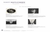 ROBERT MAPPLETHORPE - Newsroom | News from news.getty.edu/content/1208/images/mapplethorpefinal... The