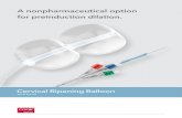 A nonpharmaceutical option for preinduction dilation.€¦ · double-balloon catheter with an adjustable-length malleable stylet. It is intended for mechanical dilation of the cervical