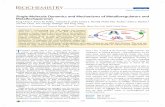 Single-Molecule Dynamics and Mechanisms of ...chen.chem.cornell.edu/publications/Biochem_2013_52_7170-7183.pdf · reported on bioinorganic systems (see Related Single-Molecule Bioinorganic