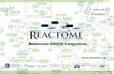 Reactome-ORCID Integration â€؛ docs â€؛ orcid â€؛ 2014_ORCID_Reactome_Web.pdfآ  2018-10-15آ  ORCID is
