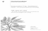 Att vara en vara - Wolber2 (54) Abstract Authors: Filip Sandén & Maria Lidman Title: To be a product – a study about how to communicate your identity on the Internet with a blog